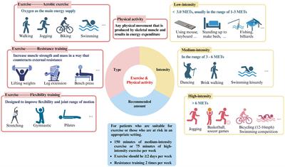 Effects and potential mechanisms of exercise and physical activity on eye health and ocular diseases